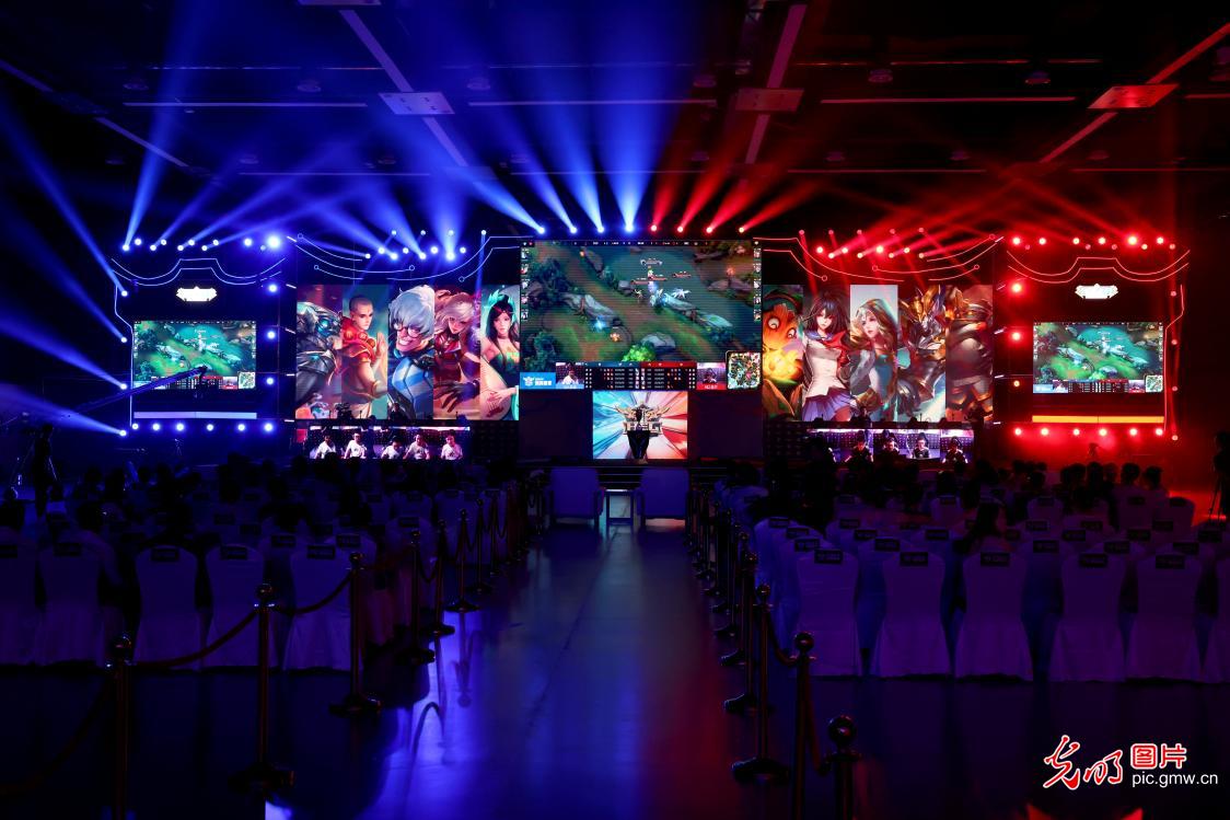 段的表现 段的表现