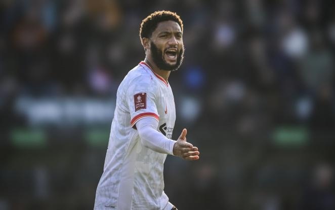 教练在下半 教练在下半